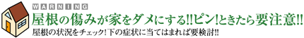 屋根の傷みが家をダメにする!!ピン!ときたら要注意!!